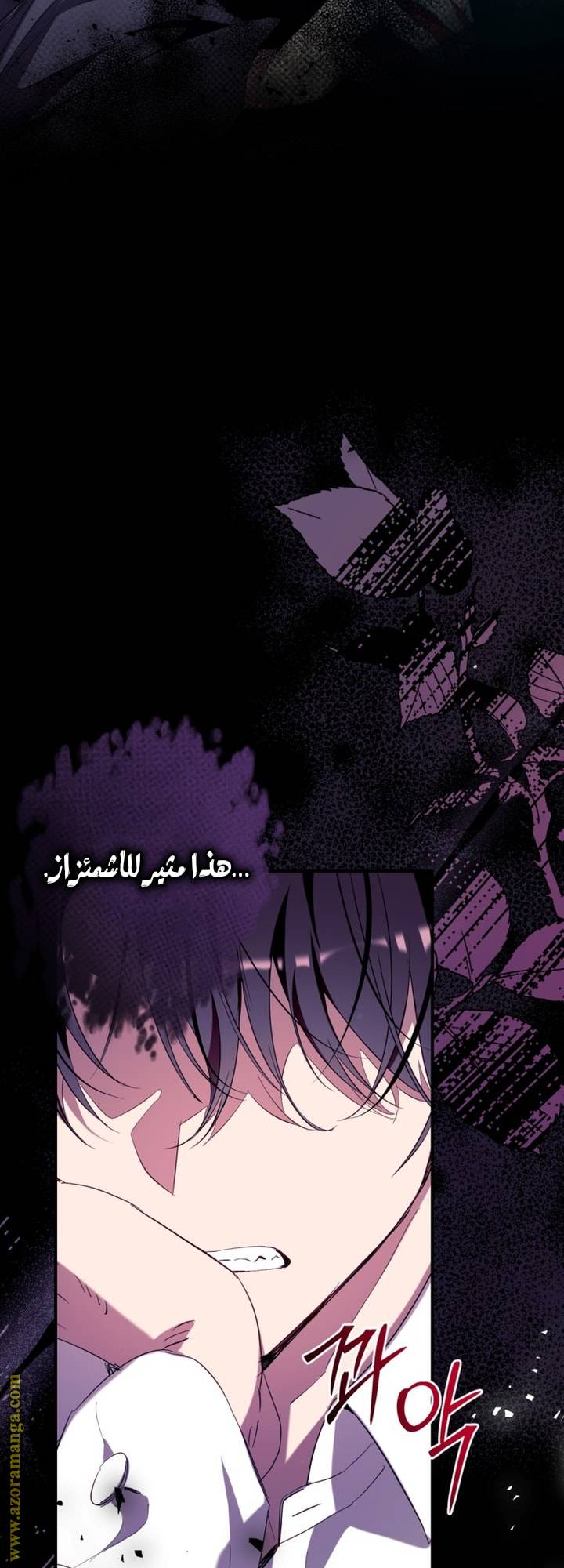 الصفحة 54