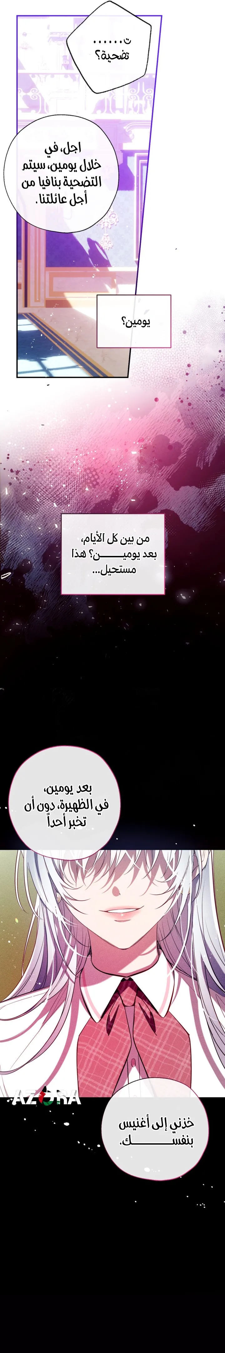 الصفحة 27
