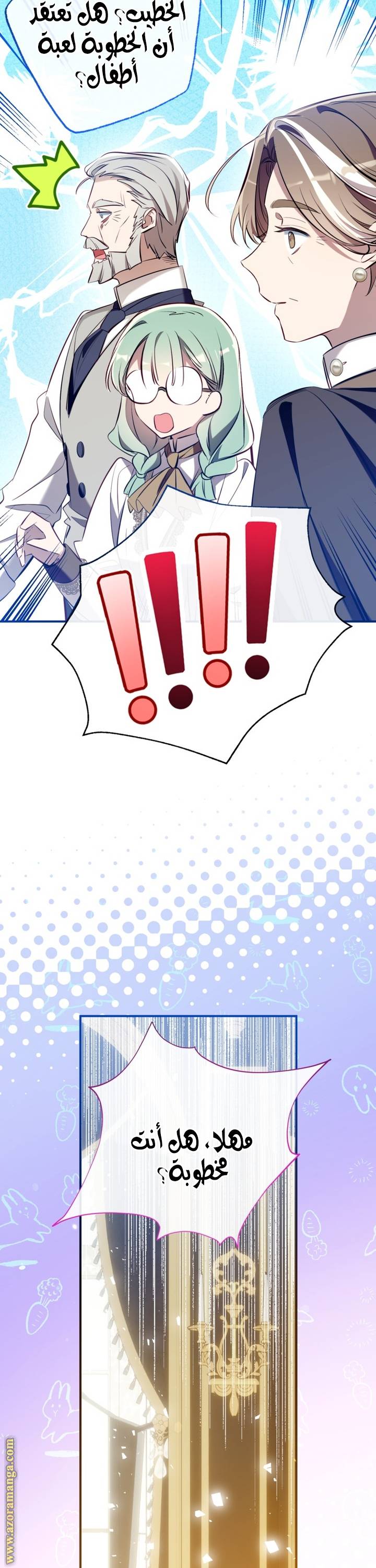الصفحة 22