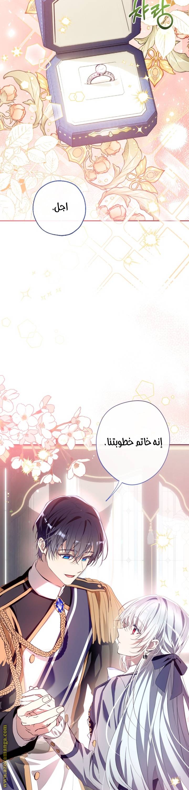 الصفحة 26