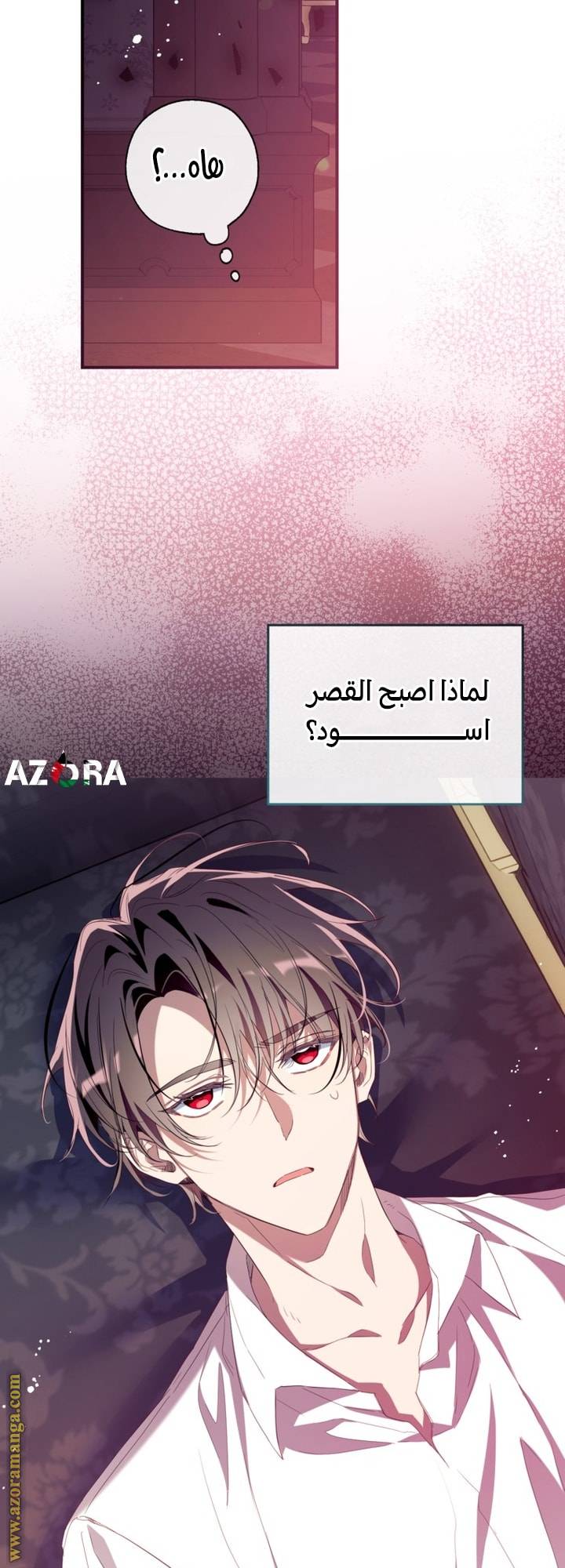 الصفحة 15