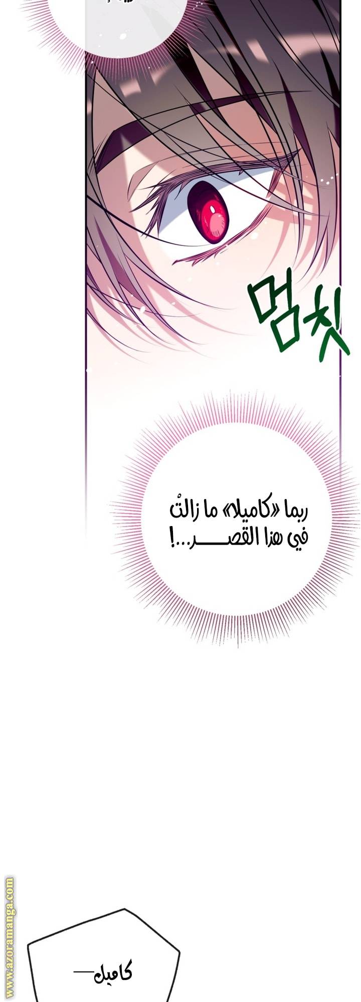 الصفحة 23