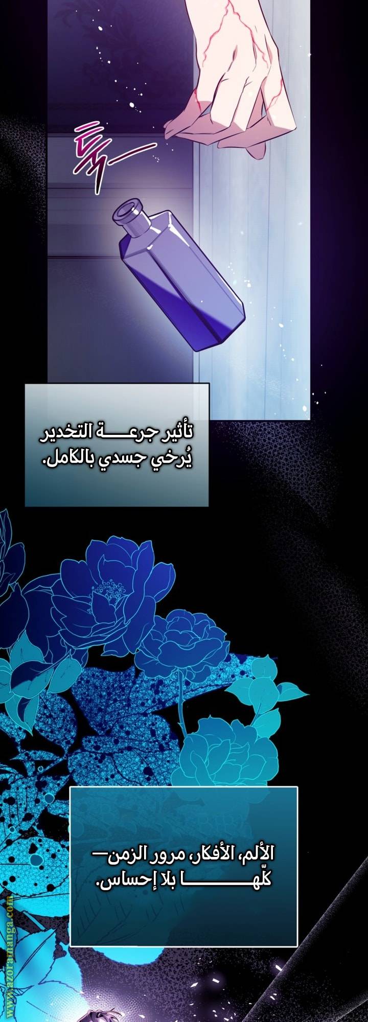 الصفحة 29