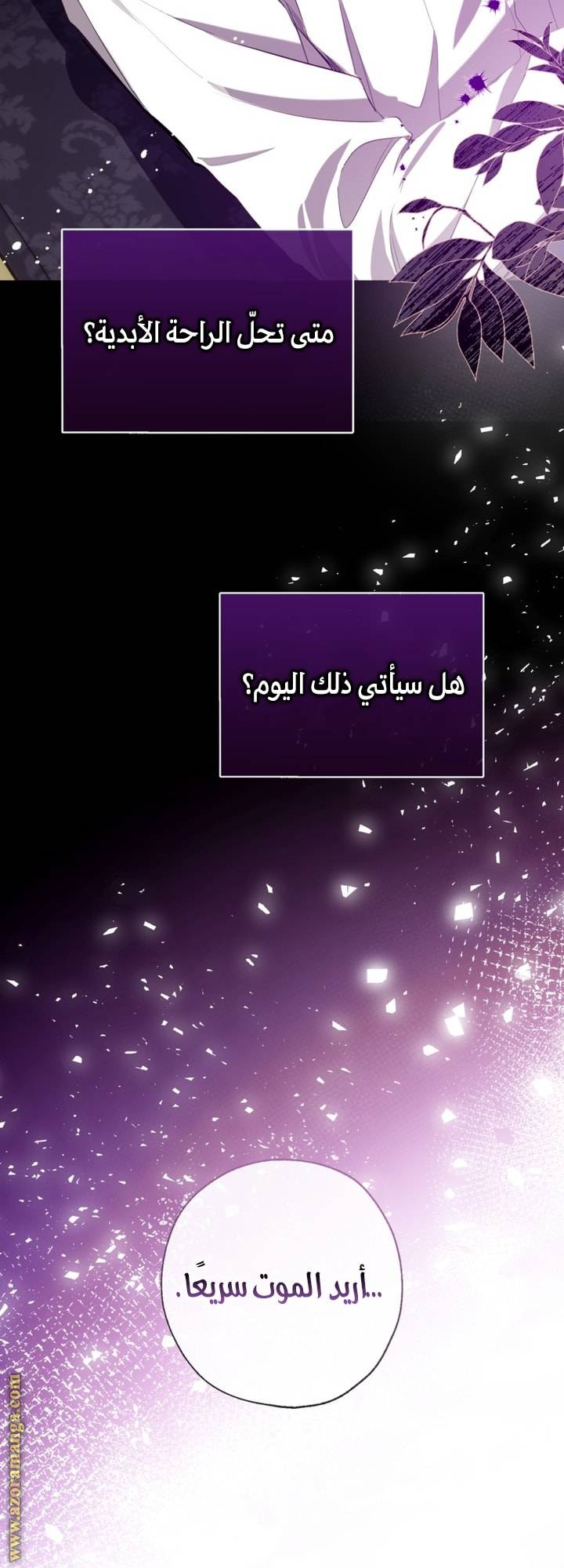 الصفحة 41