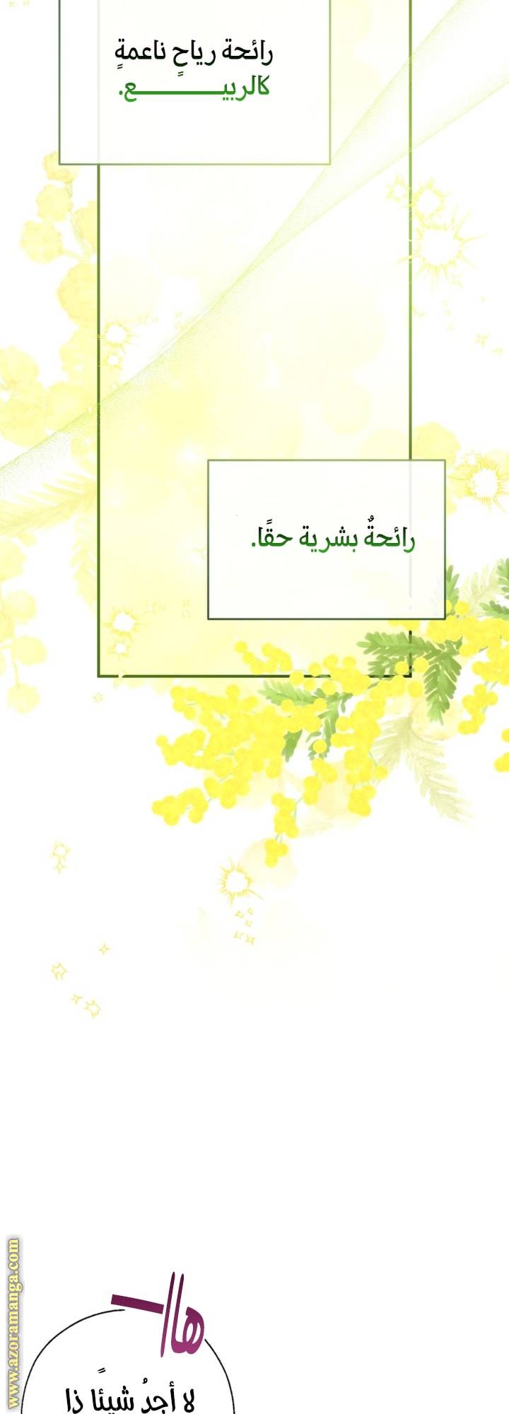 الصفحة 50
