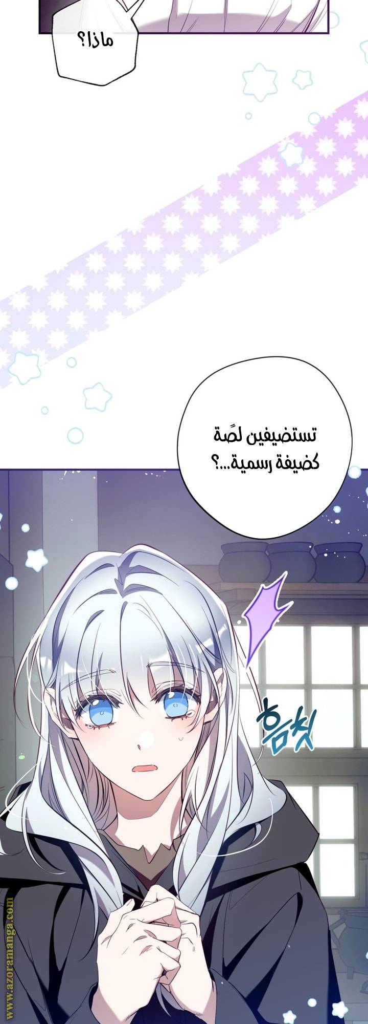 الصفحة 12