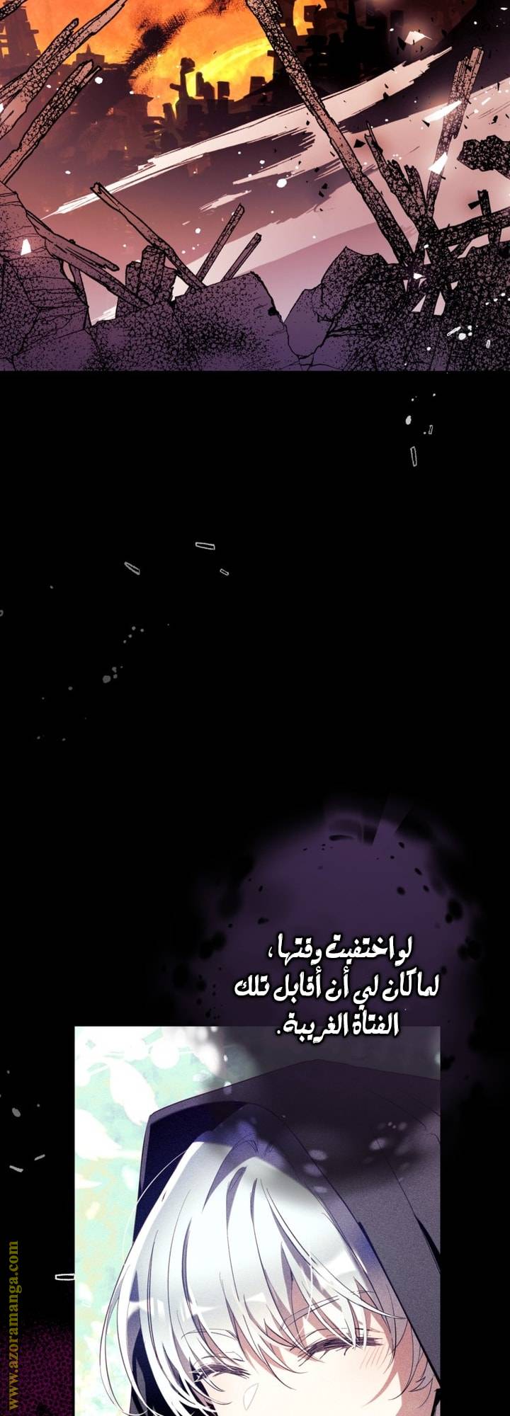 الصفحة 28