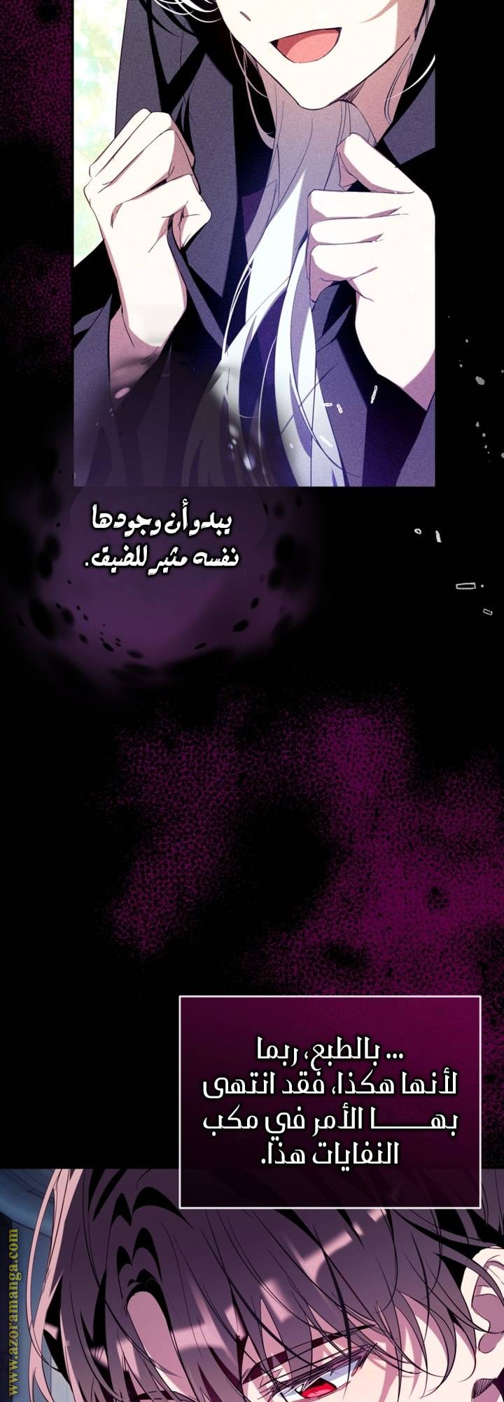 الصفحة 29