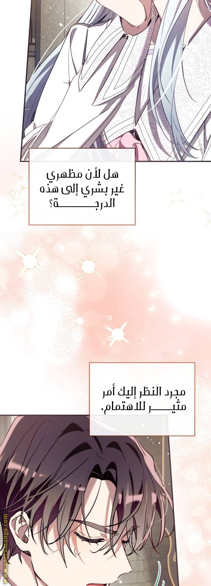 الصفحة 53
