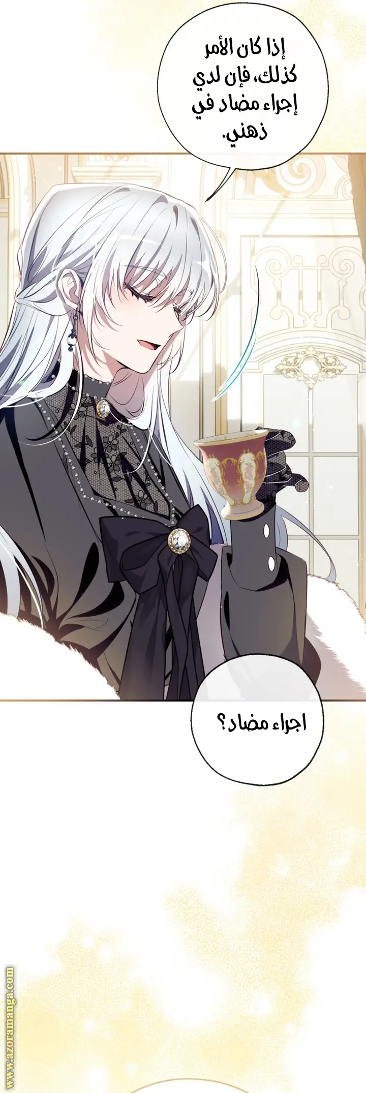 الصفحة 17
