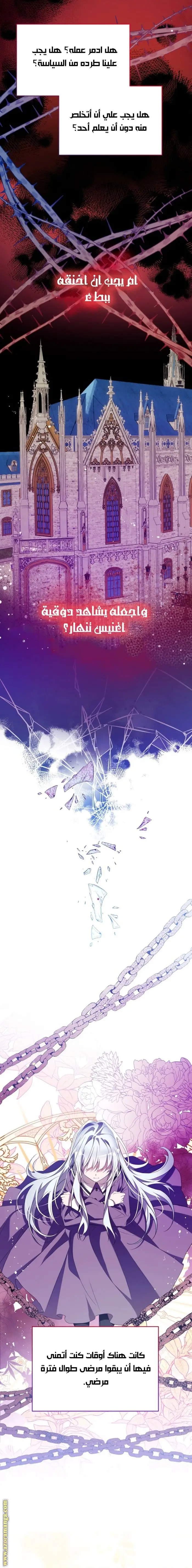 الصفحة 17