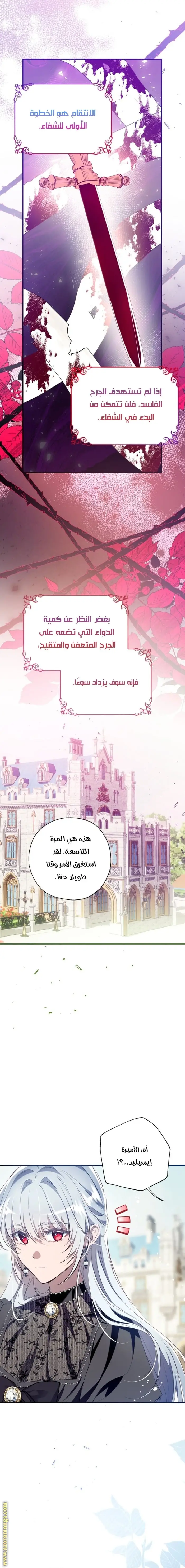 الصفحة 19