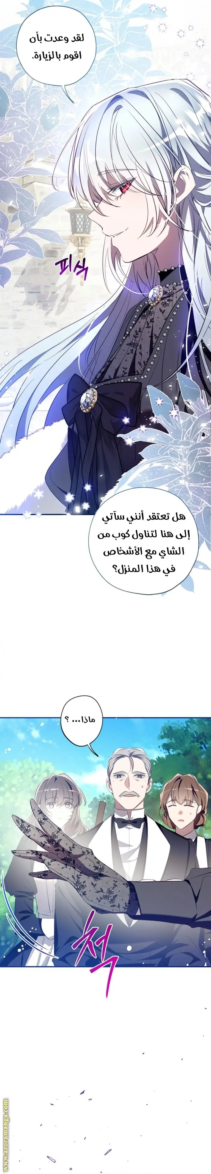 الصفحة 21