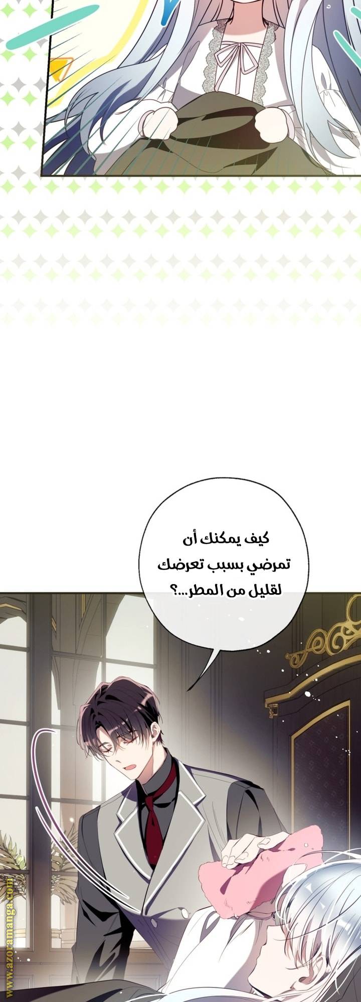 الصفحة 13