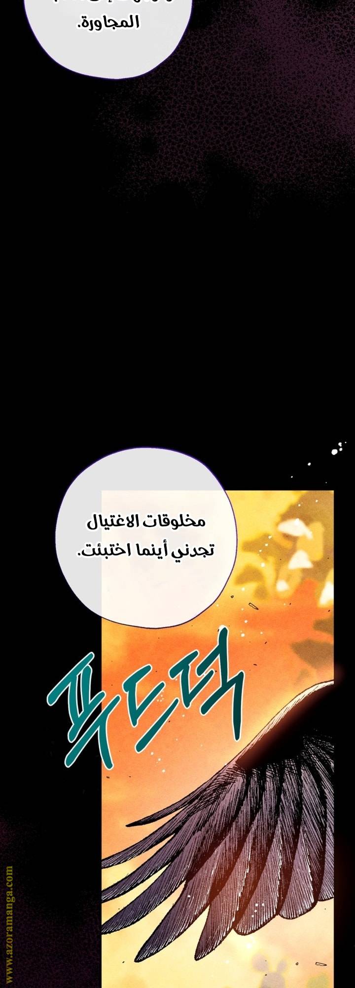 الصفحة 38
