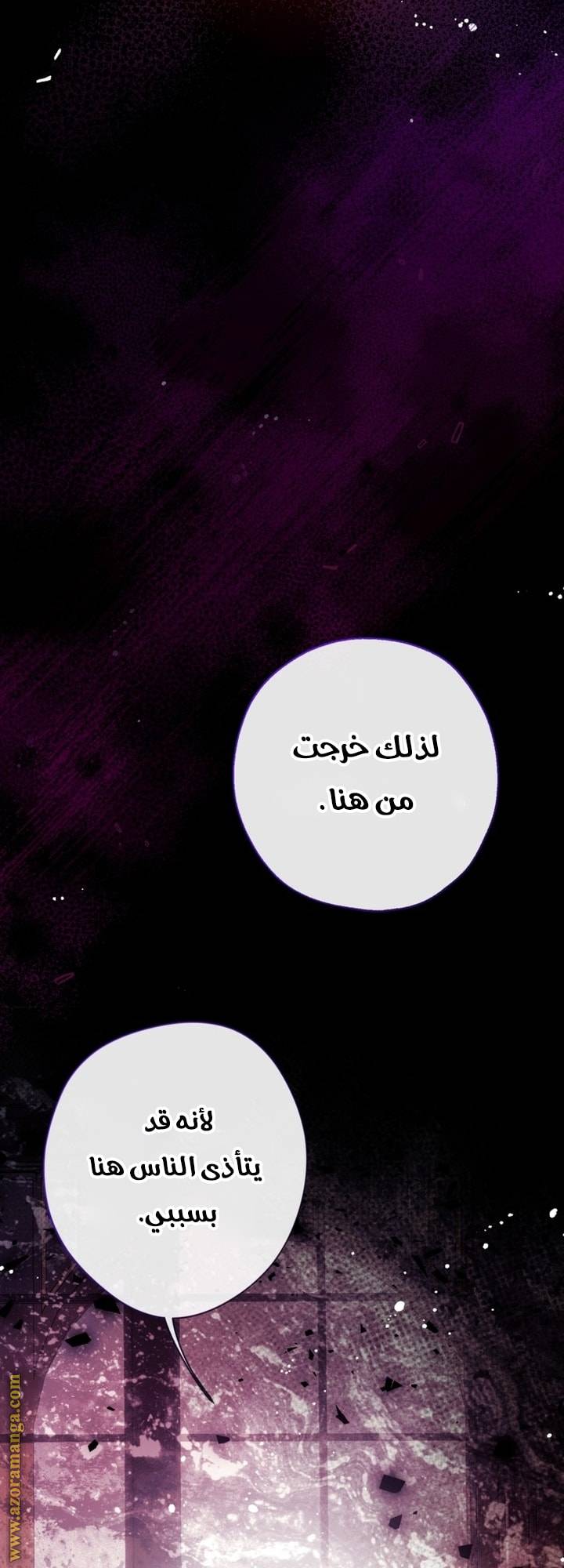 الصفحة 41