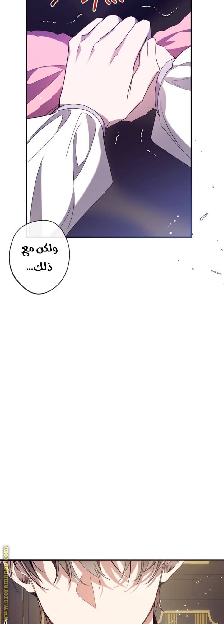 الصفحة 43