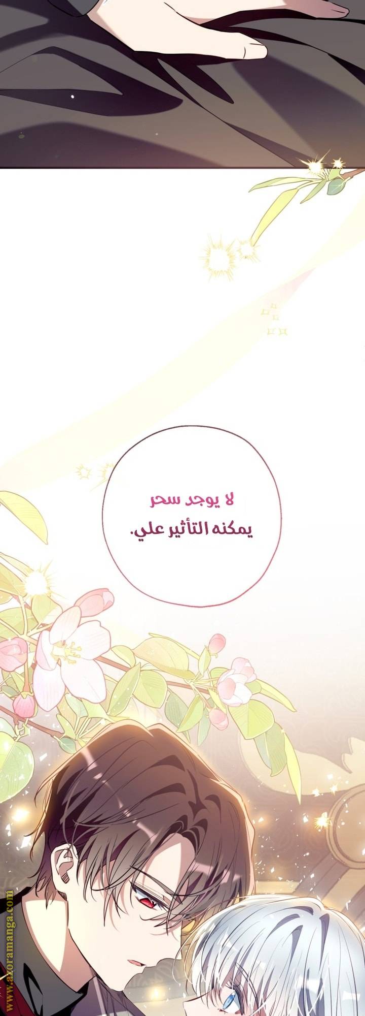 الصفحة 45