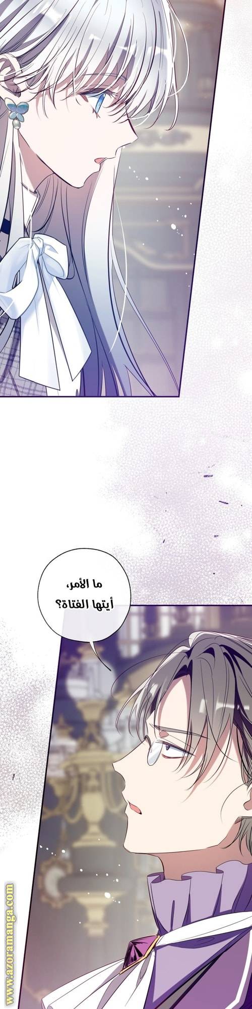 الصفحة 17