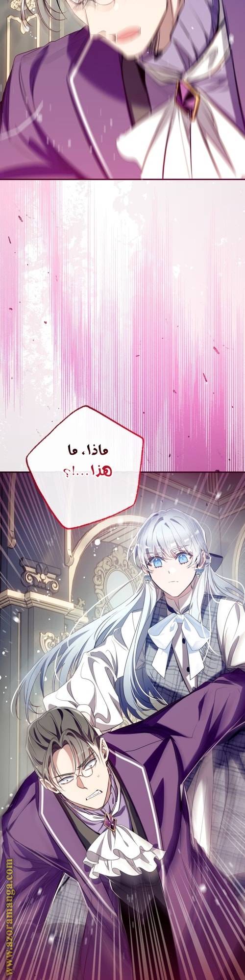 الصفحة 27