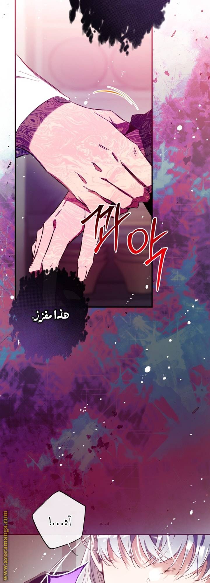 الصفحة 17