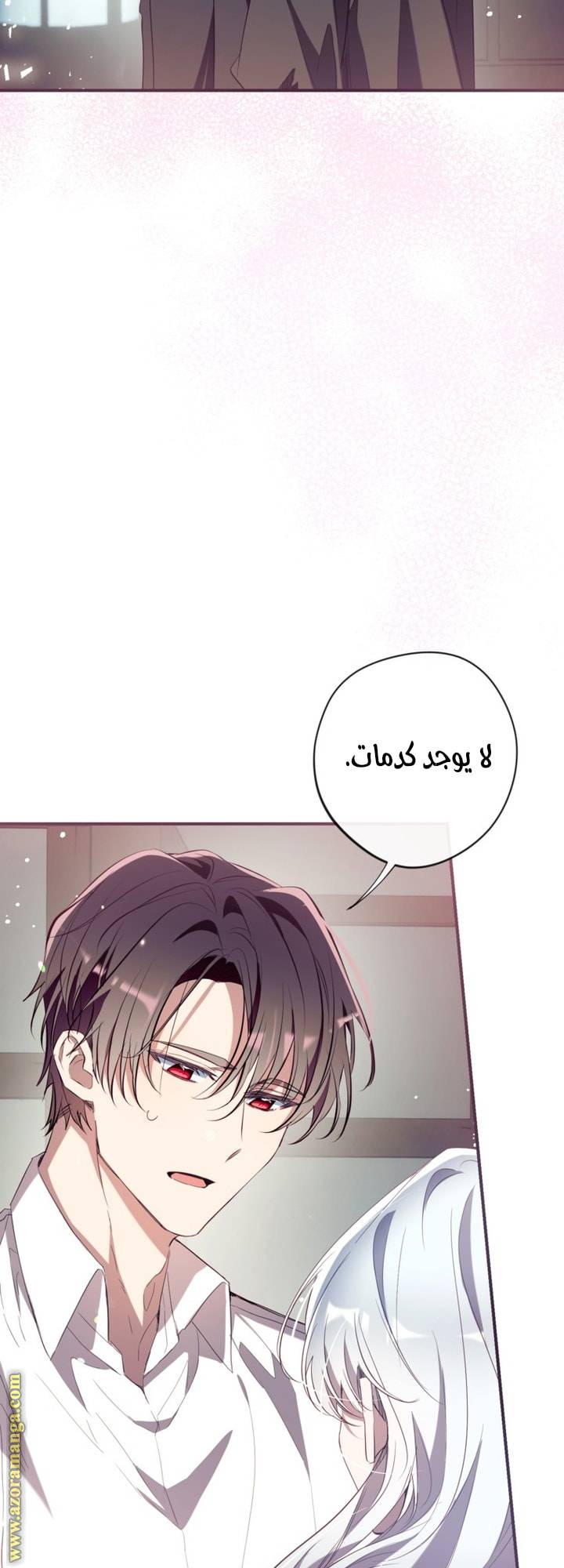 الصفحة 21