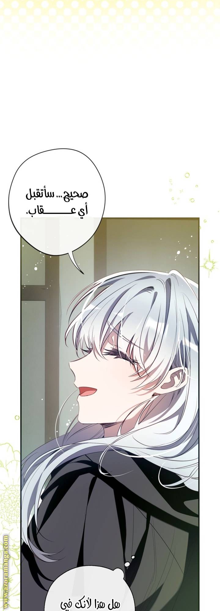 الصفحة 24