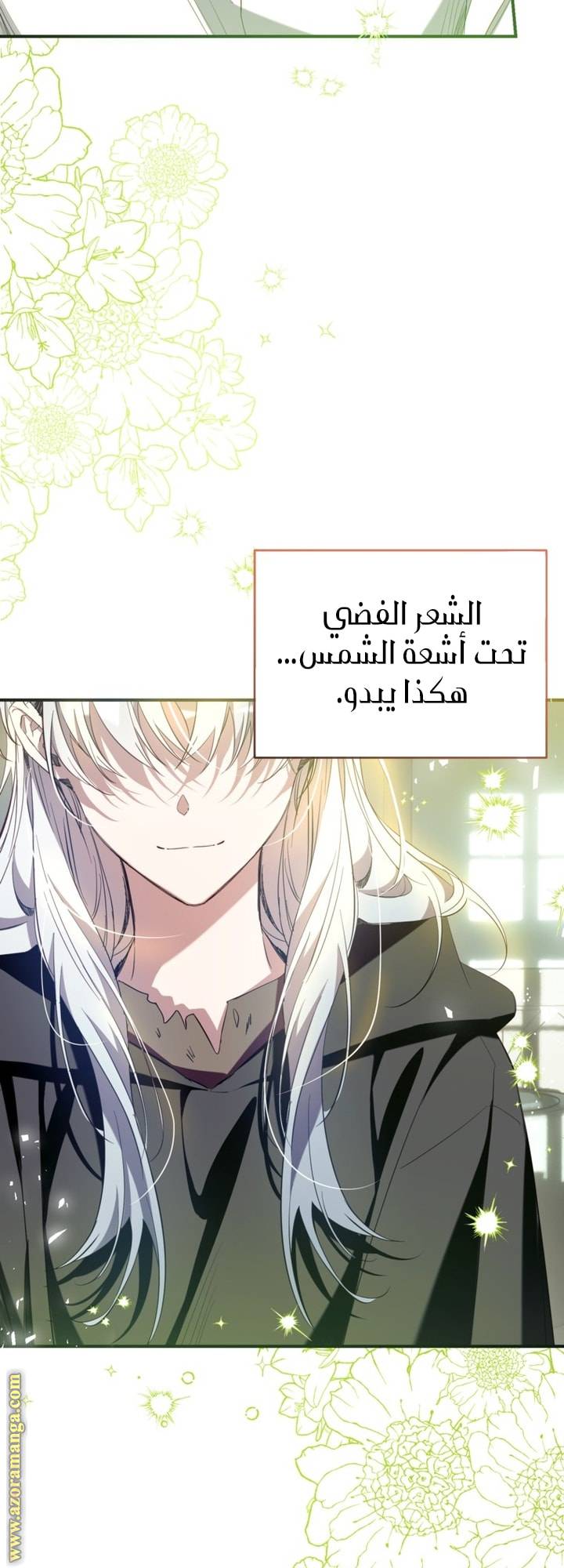الصفحة 26