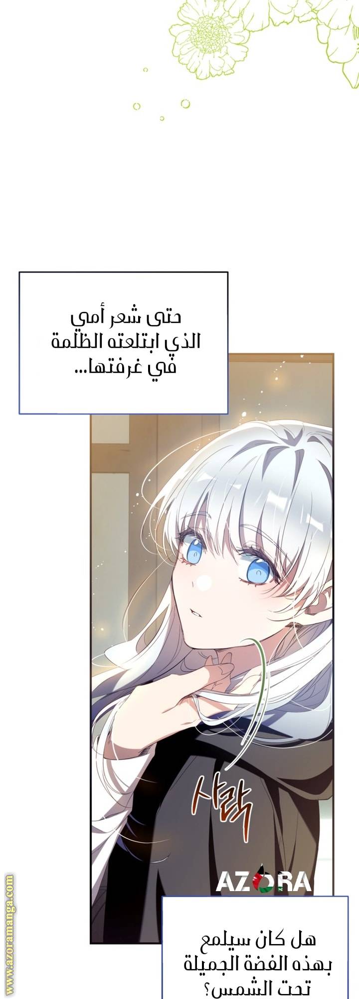 الصفحة 27
