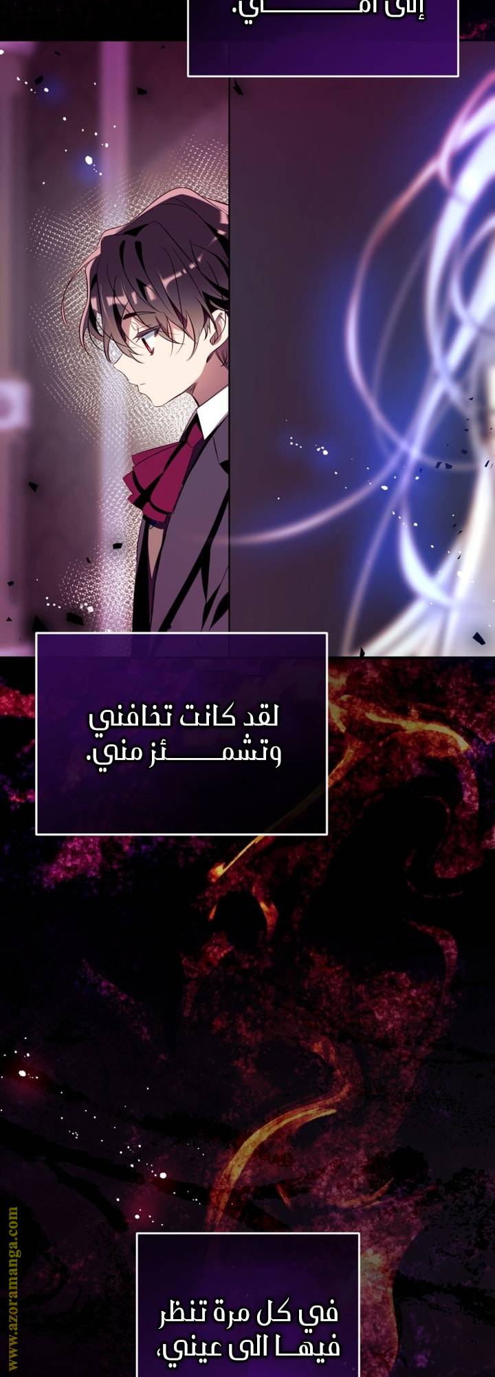 الصفحة 29