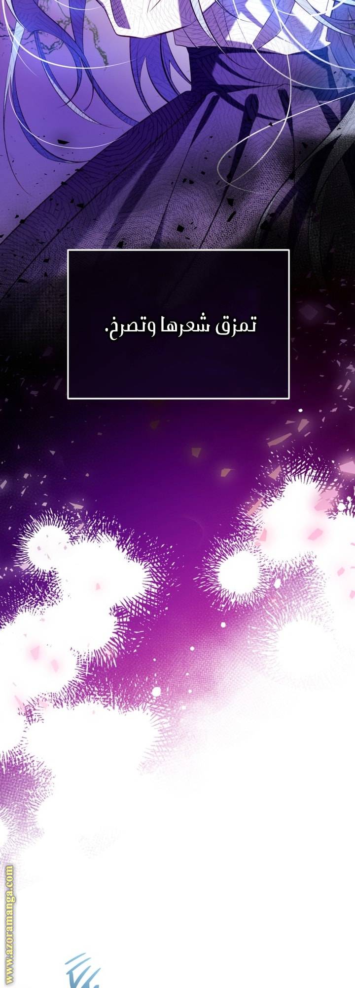 الصفحة 31