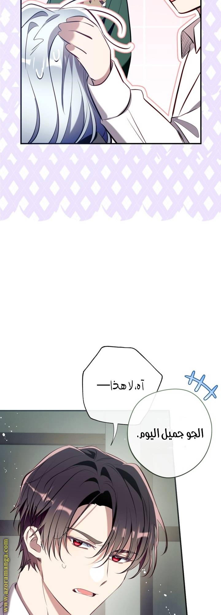 الصفحة 42