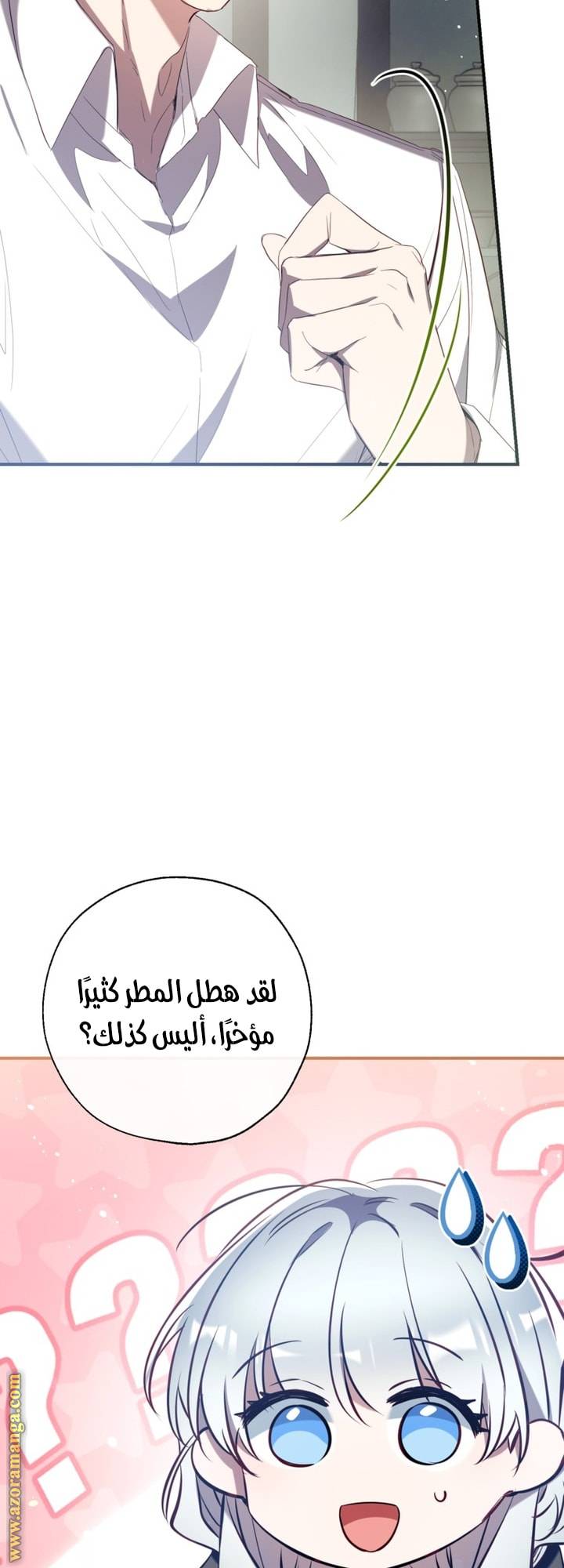 الصفحة 43