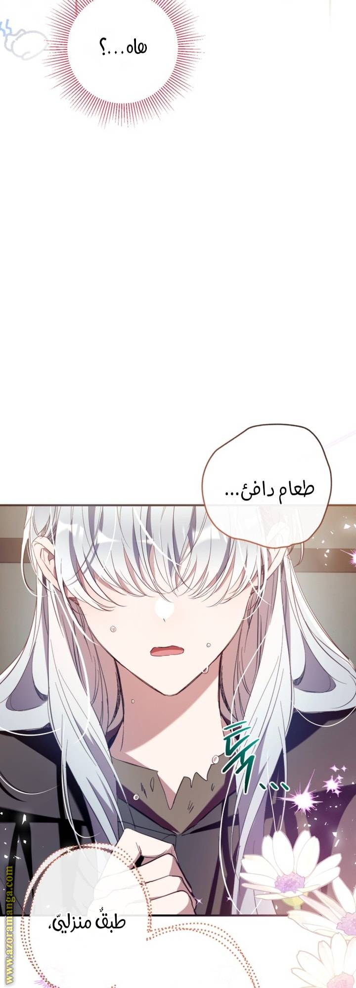 الصفحة 52
