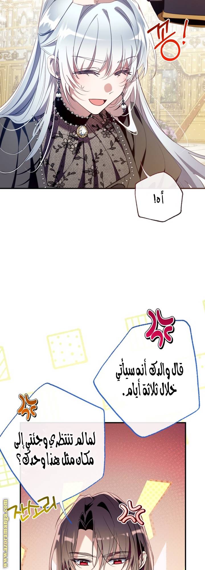 الصفحة 13