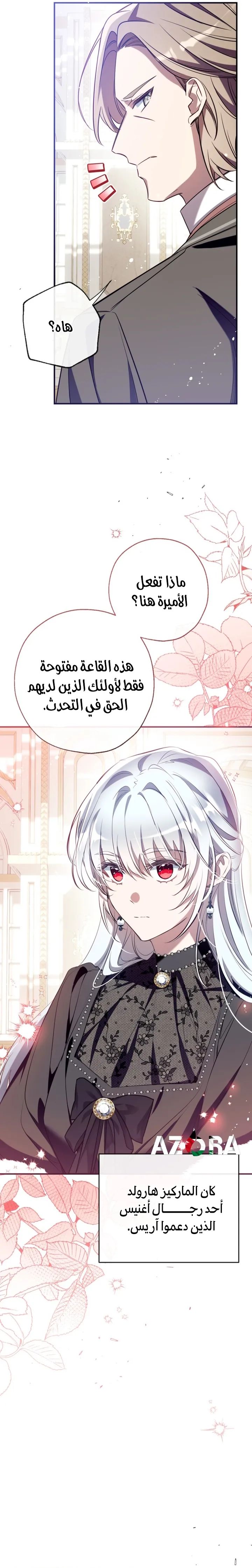 الصفحة 13
