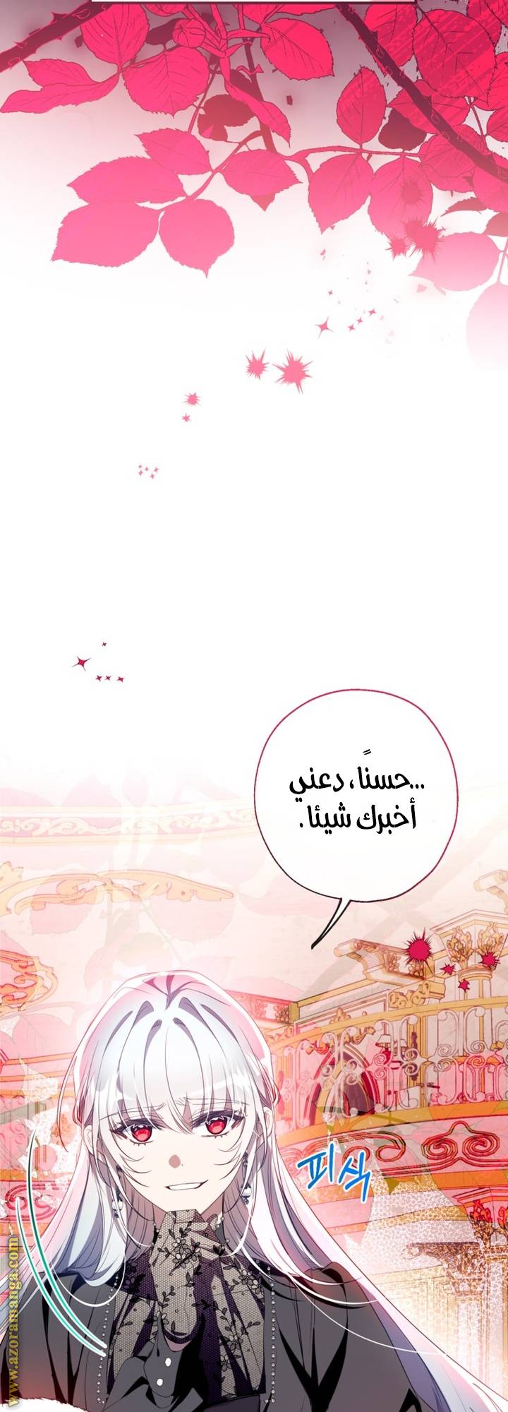 الصفحة 17