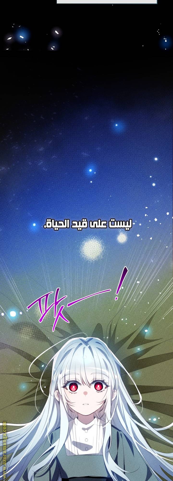الصفحة 33
