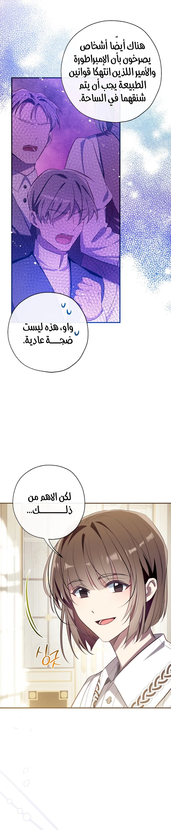 الصفحة 28