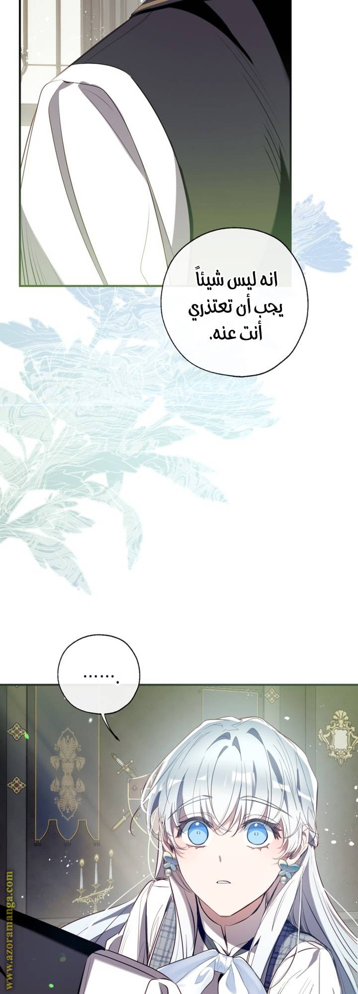 الصفحة 27