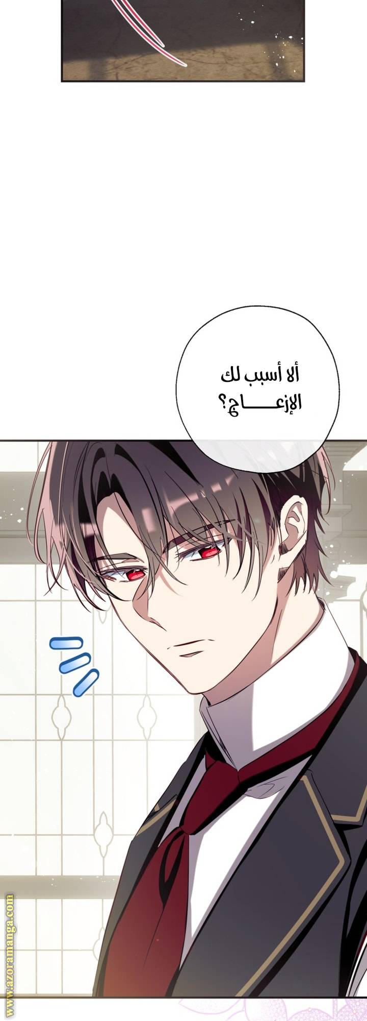 الصفحة 29