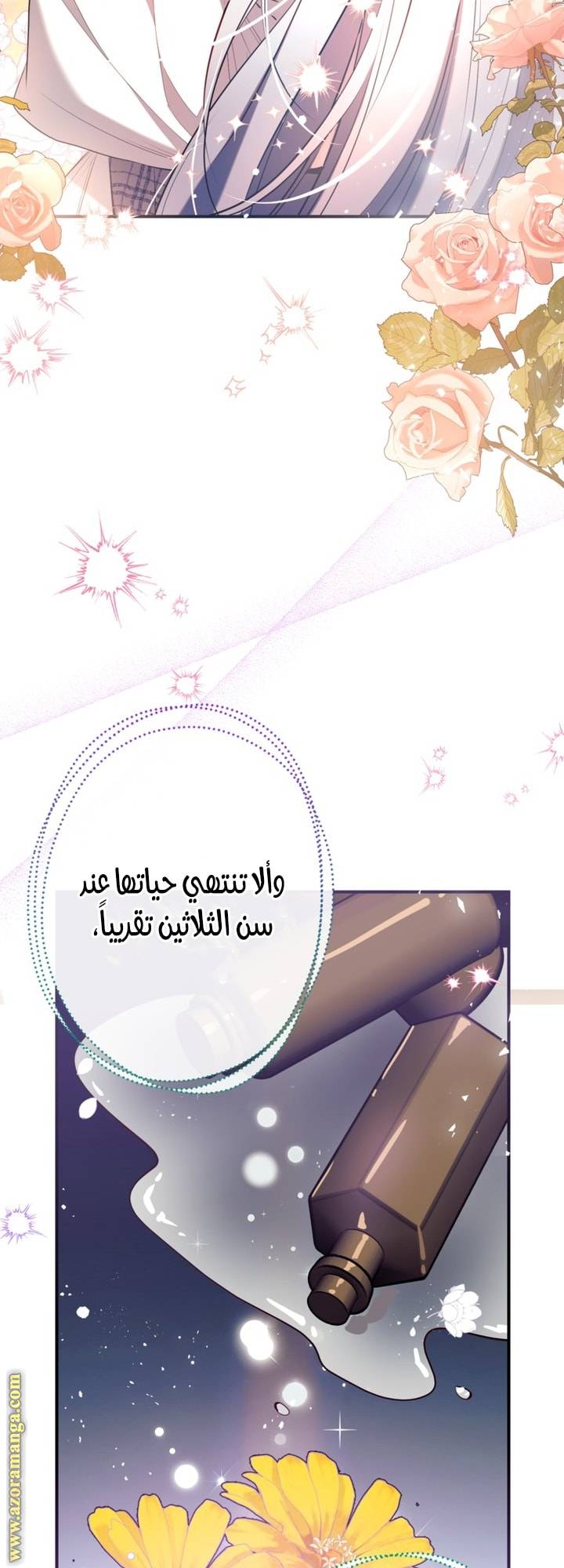 الصفحة 52