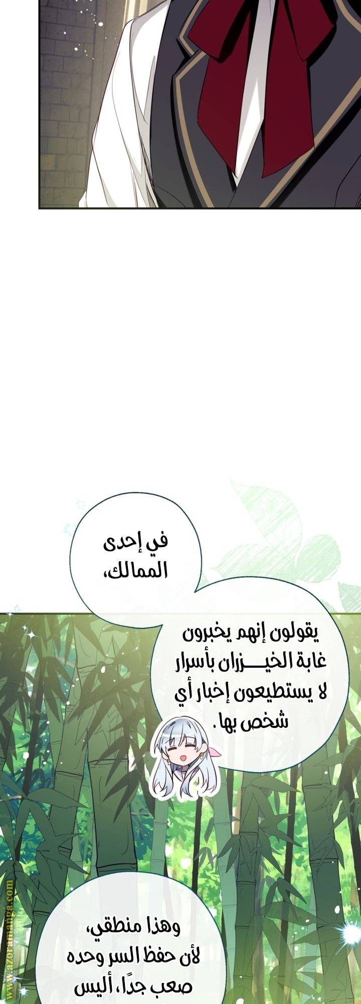الصفحة 17
