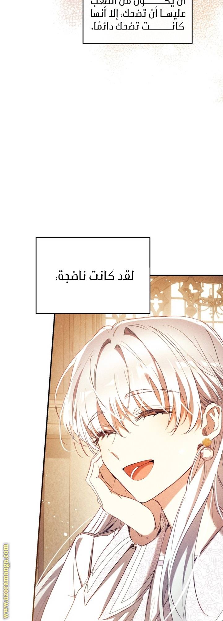 الصفحة 41
