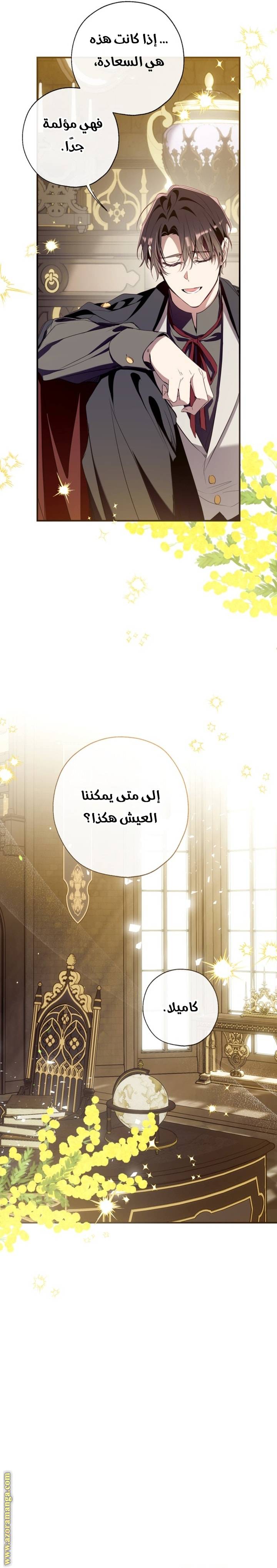 الصفحة 14