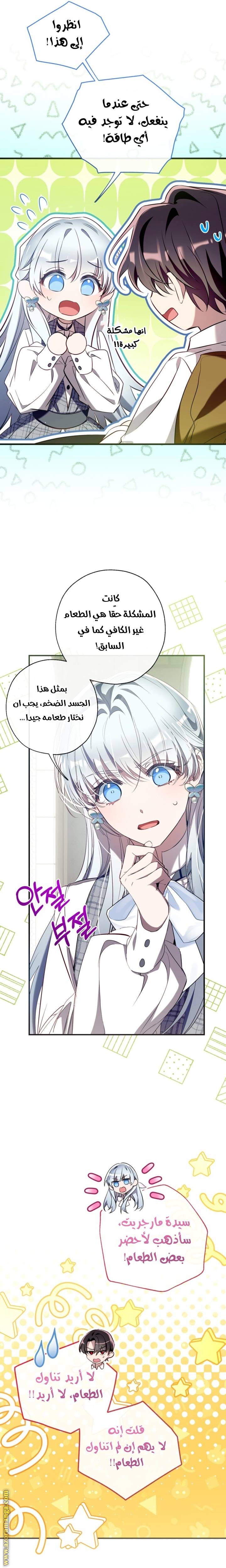 الصفحة 17