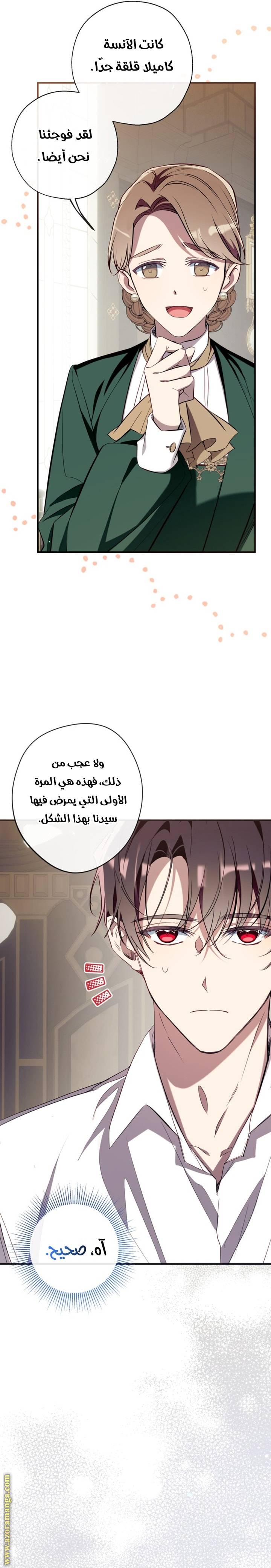 الصفحة 19