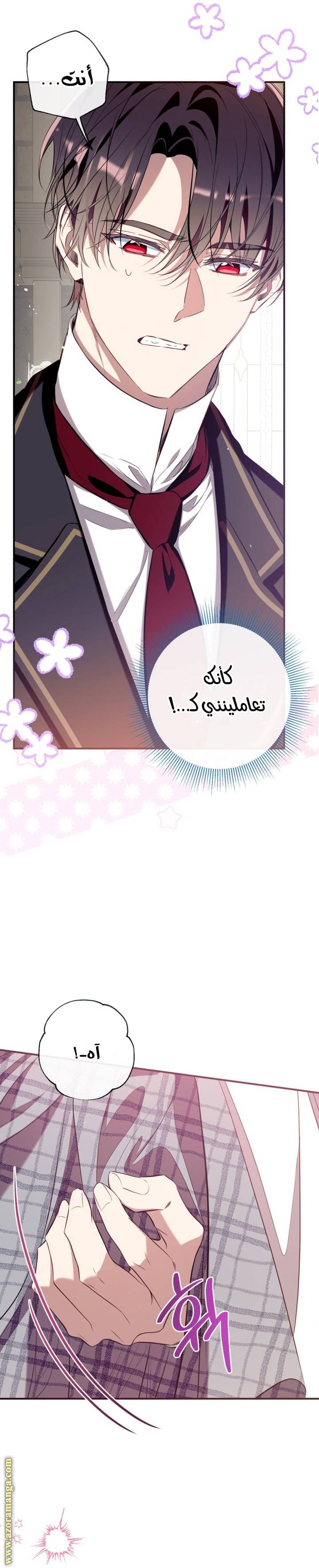 الصفحة 25