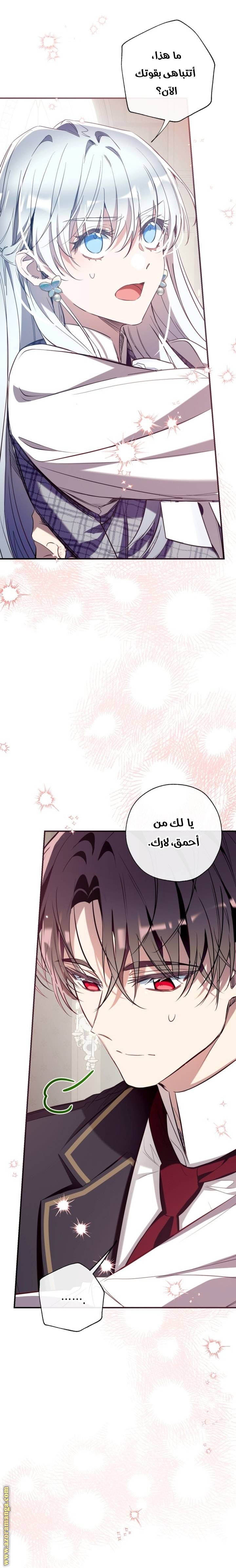 الصفحة 27