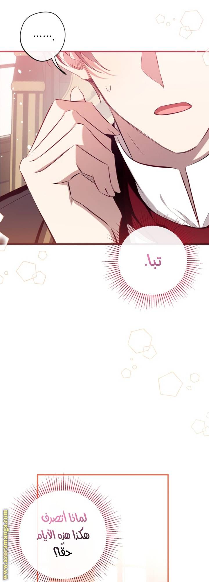 الصفحة 11